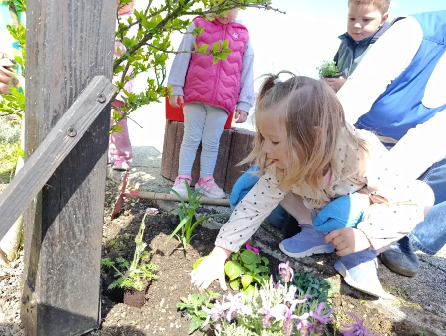 030f2445 12d8 4c8e b52b f78ac709000e