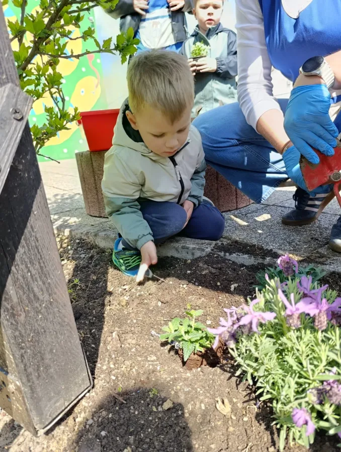 2e57ba88 d5f3 4ad2 9e37 f9e33490d2cc