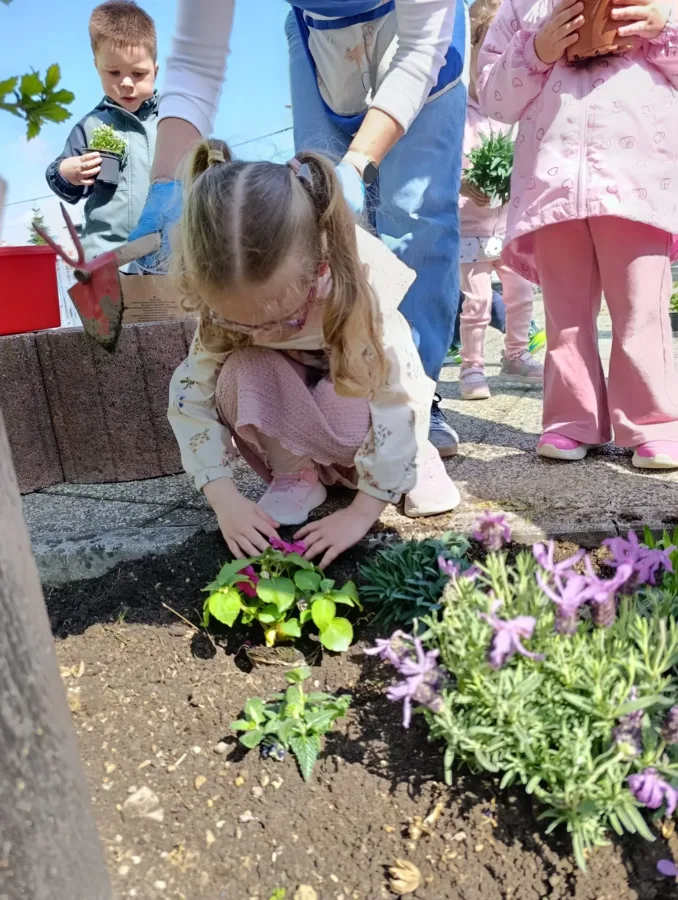 3158b3b5 0a4c 4f20 94f9 136b95a202dc