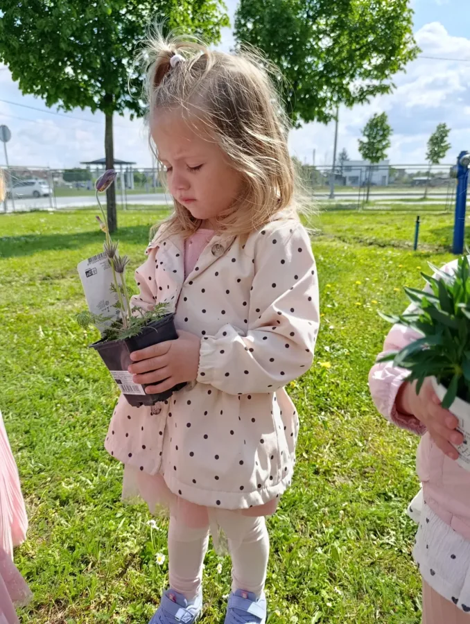 4860bfec 07b5 4812 a375 12743a8f611b