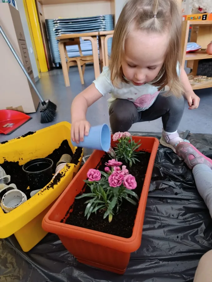 529983ab 102e 4ec6 b069 35c5af599f59