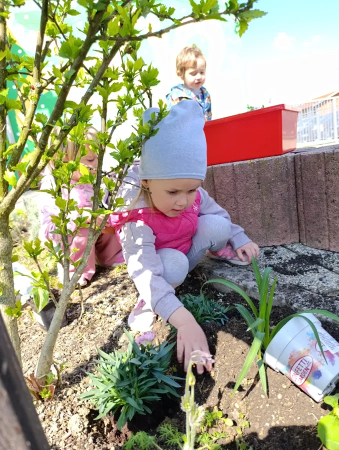 675ce68d 79fe 4d68 9020 321d5a12daad