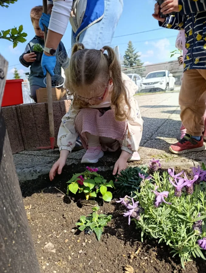 7f42311e 0be2 4088 9903 4f7eb3ccfee3