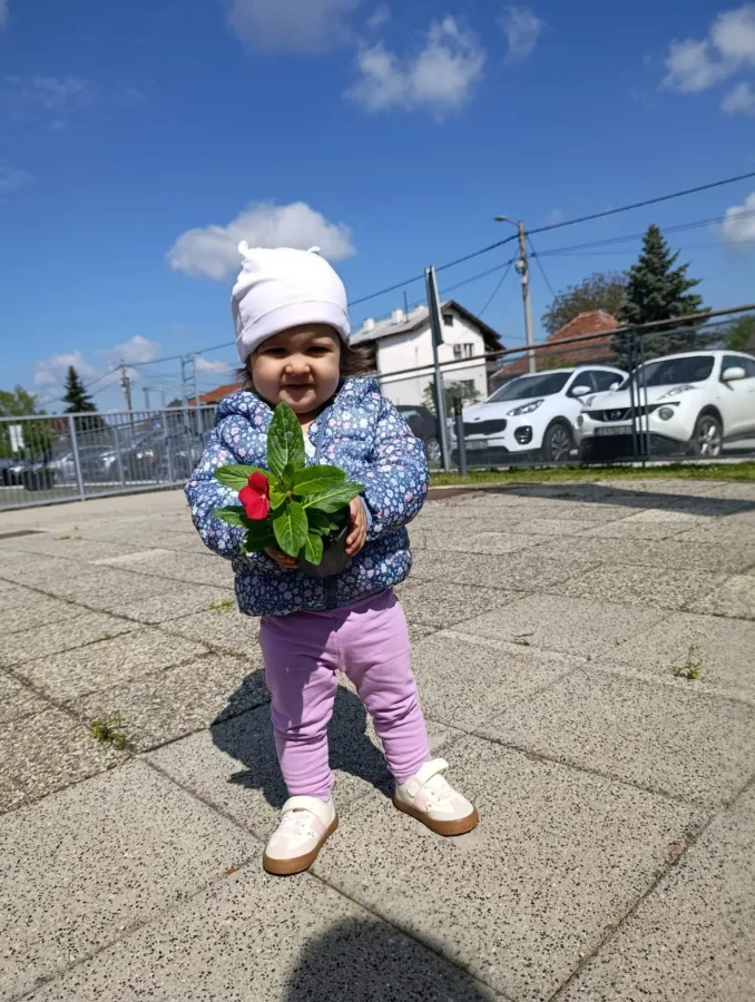 A309262d 2f90 4fd8 8a0d 73e8450401bd