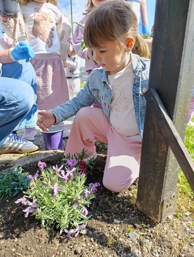 Acc4ae67 291a 4e05 aa5a b31512ed1b61