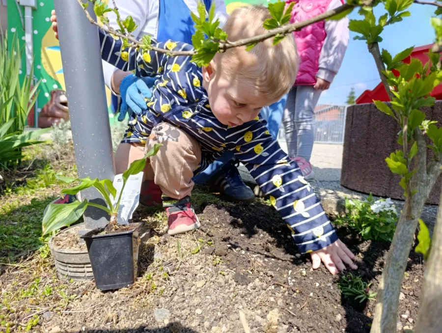 Aecbec20 ab83 4301 99dd bdfdba924fc7