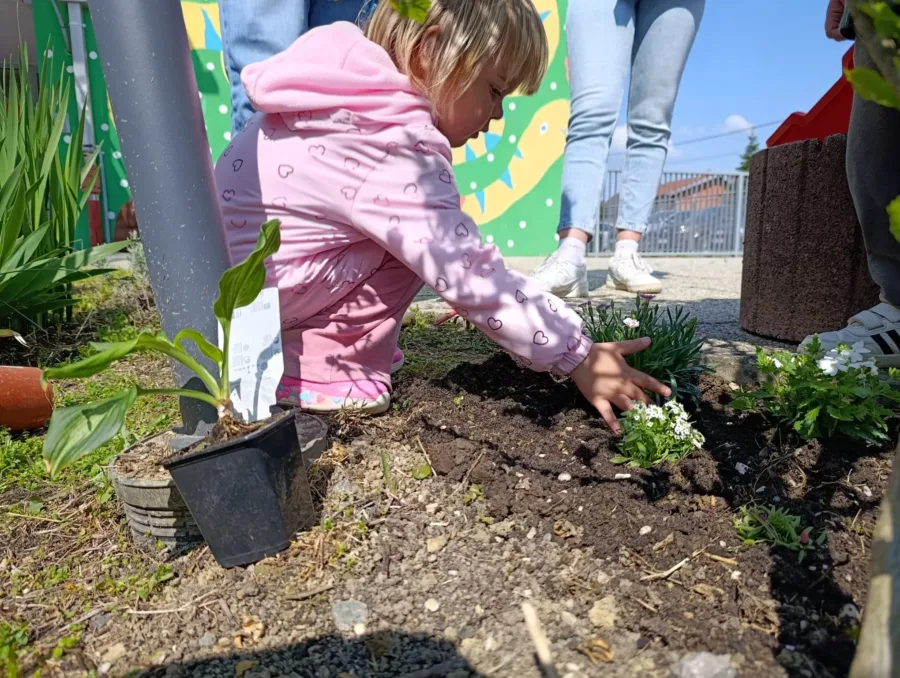 Fc5ffe45 86f6 4448 a4d3 02c5d34e1a10