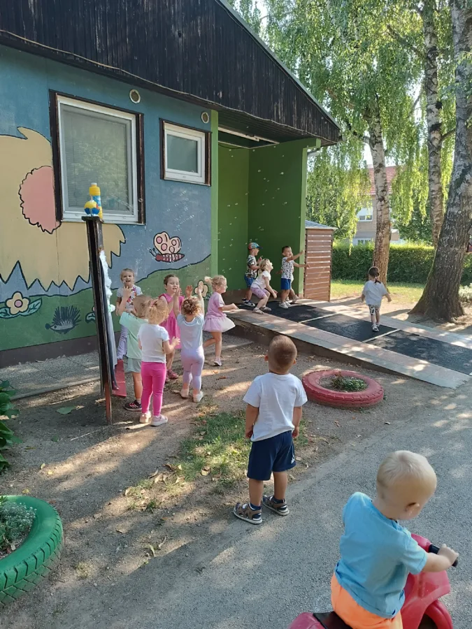 IMG 20260730